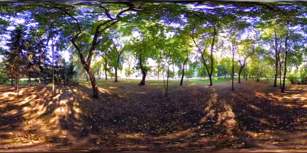 UHD 4K 360 VR Réalité virtuelle d'un parc municipal zone de loisirs. Arbres et herbe verte le jour d'automne ou d'été
