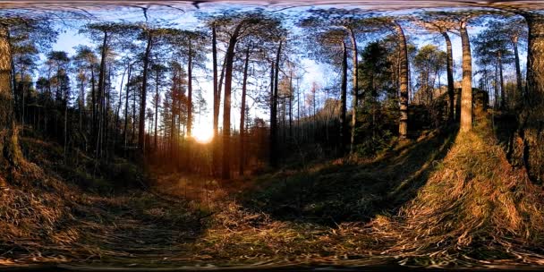 4K 360 VR virtuell verklighet på en vacker fjällplats på hösten. Vilda sibiriska berg. — Stockvideo