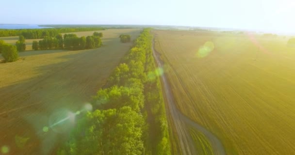 UHD 4k Flygfoto. Låg flygning över gröna och gula landsbygdens vetefält och träd linje — Stockvideo