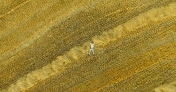 Вид с воздуха. Вертикальный полет над человеком, лежащим на желтом пшеничном поле — стоковое видео