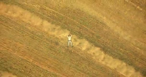 鸟瞰图。老人躺在黄色麦田上空垂直运动飞行 — 图库视频影像