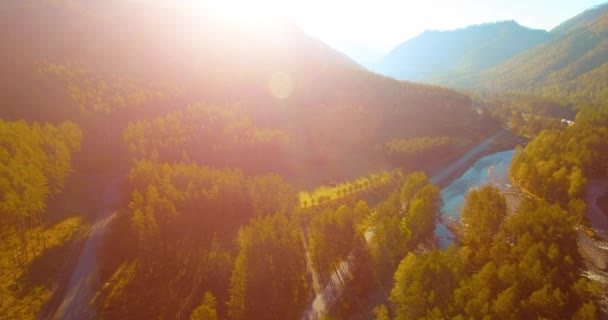Mid air flygning över färska berg flod och äng på solig sommarmorgon. Landsbygdsvägen nedanför. — Stockvideo