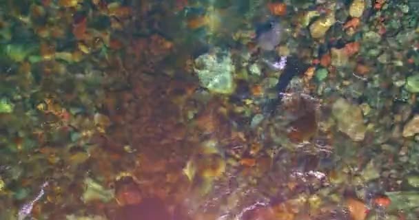 Vol en vol au-dessus d'une rivière de montagne fraîche et propre au matin ensoleillé d'été. Vue de dessus et mouvement horizontal