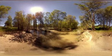 UHD 4K 360 VR Bir nehrin Sanal Gerçekliği güzel dağ ormanlarında kayaların üzerinden akıyor