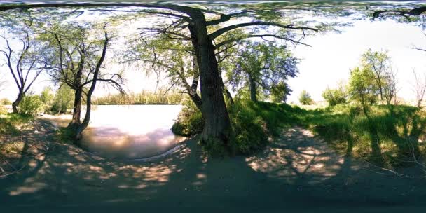 UHD 4K 360 VR La réalité virtuelle d'une rivière coule sur des rochers dans un magnifique paysage de forêt de montagne — Video