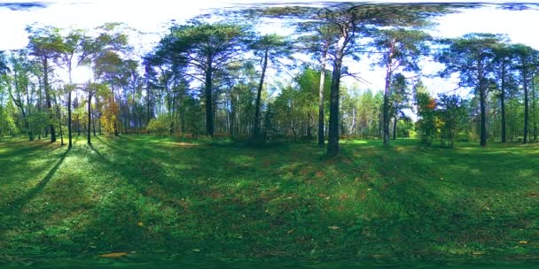 UHD 4K 360 VR Realtà Virtuale di un'area ricreativa del parco cittadino. Alberi ed erba verde al giorno d'autunno o d'estate — Video Stock