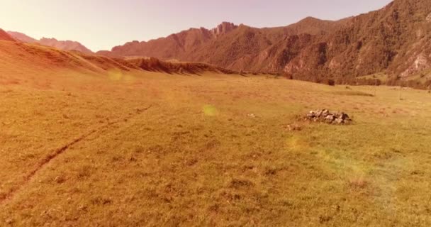 Vol au-dessus de chevaux sauvages troupeau sur prairie. Montagnes printanières nature sauvage. Liberté concept écologie. — Video