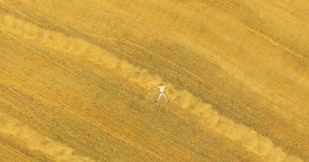 Widok z lotu ptaka. Pionowy ruch lotu nad człowieka leżącego na polu pszenicy żółty — Wideo stockowe