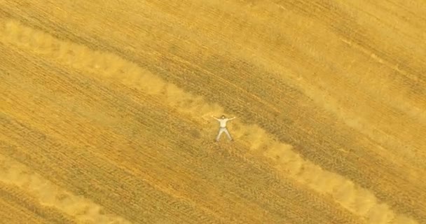 Вид с воздуха. Вертикальный полет над человеком, лежащим на желтом пшеничном поле — стоковое видео