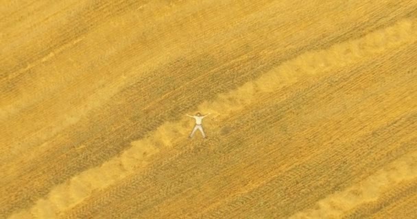 Havadan görünümü. Dikey hareket uçuş sarı buğday alan üzerinde yatan adam üzerinde — Stok video