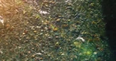 Güneşli yaz sabahında temiz ve taze bir dağ nehri üzerinde uçuşun ortasındayız. Üst görünüm ve yatay hareket