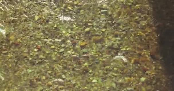 Vuelo en medio del aire sobre un río de montaña fresco y limpio en la soleada mañana de verano. Vista superior y movimiento horizontal — Vídeos de Stock