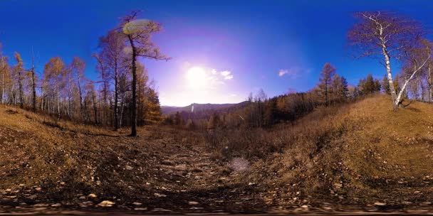4k Sonbahar zaman bir güzel dağ sahnenin 360 Vr sanal gerçeklik. Vahşi Rus dağlar. — Stok video