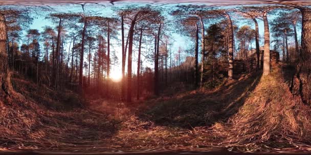 Realidad virtual de 4K 360 VR de una hermosa escena de montaña en otoño. Montañas siberianas salvajes. — Vídeos de Stock