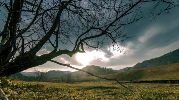 Time lapse di albero della morte e erba gialla secca a paesaggio montano con nuvole e raggi di sole. Movimento cursore orizzontale — Video Stock