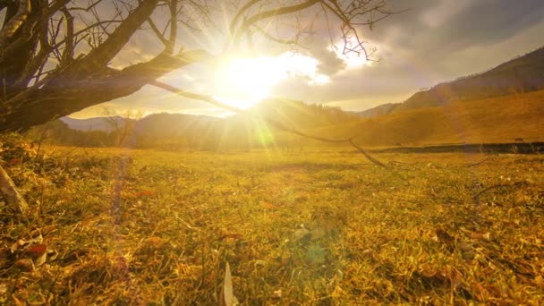 Time lapse of death tree and dry yellow grass at mountian landscape with clouds and sun rays. Horizontal slider movement — Stock Video