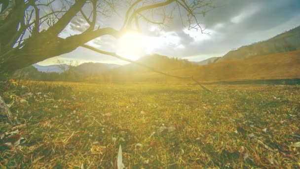 Tidshorisont for dødstræ og tørt gult græs på bjerglandskab med skyer og solstråler. Vandret skyderen bevægelse – Stock-video