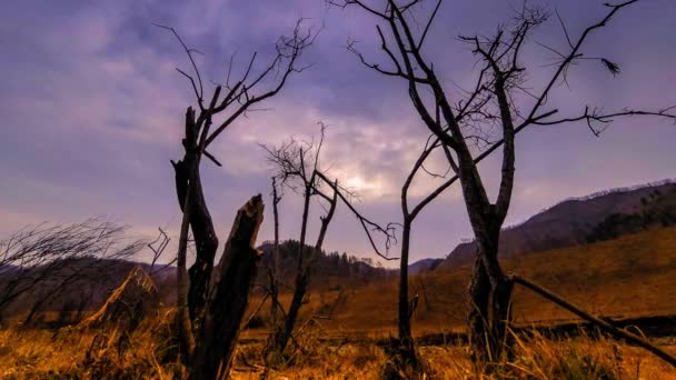 Время смерти дерева и сухой желтой травы на горном ландшафте с облаками и солнечными лучами. Горизонтальное скольжение — стоковое видео