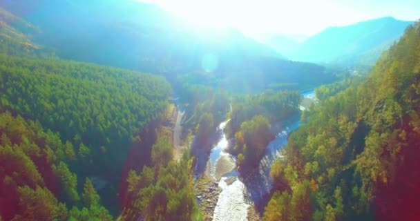 Mittlerer Luftflug über frischem Gebirgsfluss und Wiese am sonnigen Sommermorgen. Schotterpiste unten. — Stockvideo