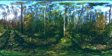 Bir şehir parkının UHD 4K 360 VR Sanal Gerçekliği. Sonbaharda ya da yaz gününde ağaçlar ve yeşil çimenler