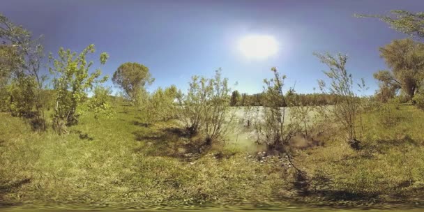 UHD 4K 360 VR Virtual Reality of a river flows over rocks in beautiful mountain forest landscape — Stock Video