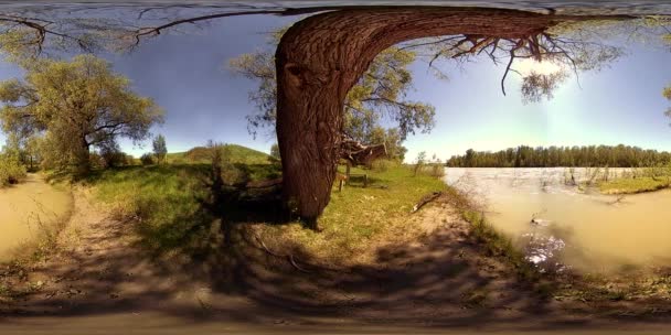 UHD 4K 360 VR La réalité virtuelle d'une rivière coule sur des rochers dans un magnifique paysage de forêt de montagne — Video