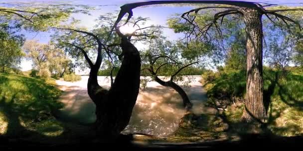 UHD 4K 360 VR La réalité virtuelle d'une rivière coule sur des rochers dans un magnifique paysage de forêt de montagne — Video