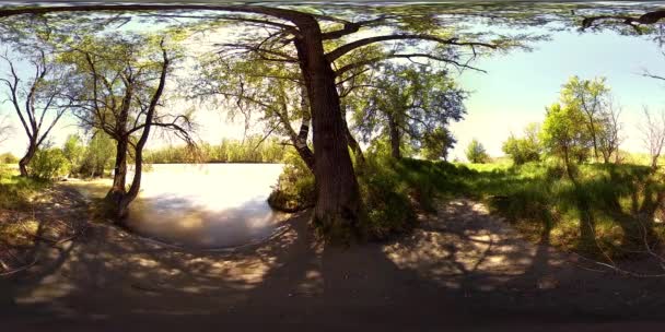 UHD 4K 360 VR La réalité virtuelle d'une rivière coule sur des rochers dans un magnifique paysage de forêt de montagne — Video