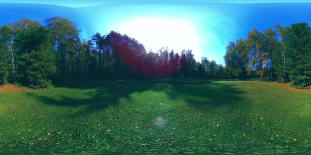 UHD 4K 360 VR A városi park szabadidős területének virtuális valósága. Fák és zöld fű ősszel vagy nyáron — Stock videók