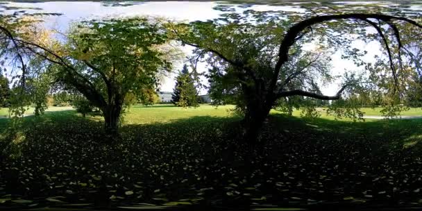 UHD 4K 360 VR Réalité virtuelle d'un parc municipal zone de loisirs. Arbres et herbe verte le jour d'automne ou d'été