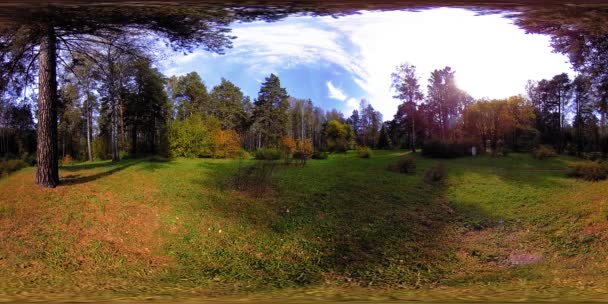 UHD 4K 360 VR Realidade Virtual de uma área de recreação do parque da cidade. Árvores e grama verde no outono ou no dia de verão — Vídeo de Stock