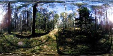 4k Sonbahar zaman bir güzel dağ sahnenin 360 Vr sanal gerçeklik. Vahşi Rus dağlar.