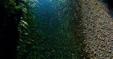 Havadan Uhd 4k görünümü. Taze dağ nehir üzerinde uçuş. Dikey yatay tilt hareketi olarak.