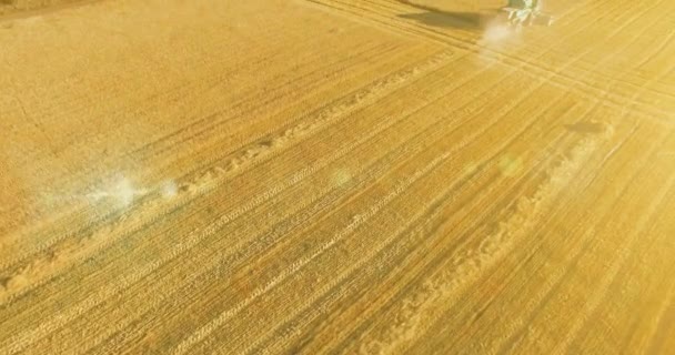 Uhd 4k Luftaufnahme. Tiefflug über Mähdrescher sammelt den Weizen auf gelbem Feld. — Stockvideo