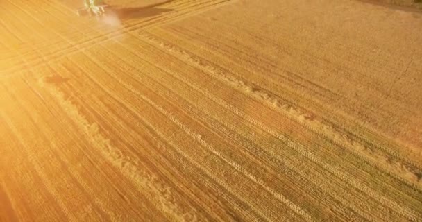 Widok z lotu ptaka UHD 4k. Niski Lot nad Kombajn zbożowy gromadzi pszenicy w żółtym polu obszarów wiejskich. — Wideo stockowe