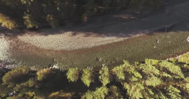 Vol en vol au-dessus d'une rivière de montagne fraîche et propre au matin ensoleillé d'été. Mouvement vertical — Video