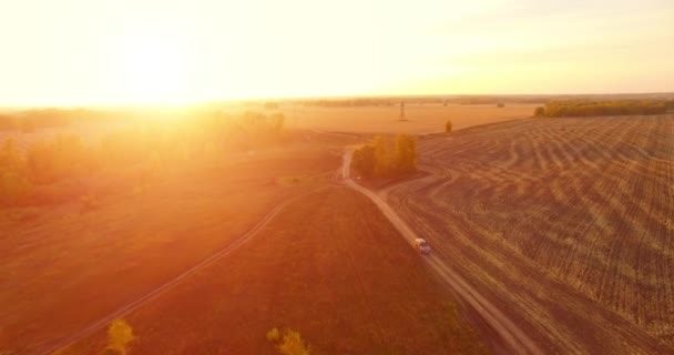 UHD 4K vedere aeriană. Zbor în aer peste câmp rural galben și drum de murdărie — Videoclip de stoc