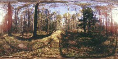 4k Sonbahar zaman bir güzel dağ sahnenin 360 Vr sanal gerçeklik. Vahşi Rus dağlar.