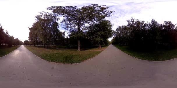 UHD 4K 360 VR Virtual Reality van een recreatiegebied in een stadspark. Bomen en groen gras op herfst- of zomerdag — Stockvideo