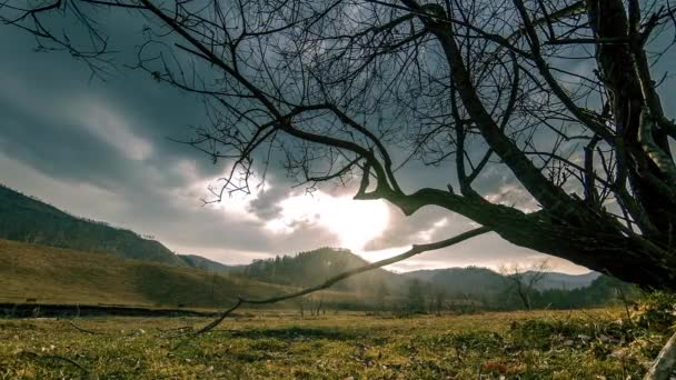 Time lapse di albero della morte e erba gialla secca a paesaggio montano con nuvole e raggi di sole. Movimento cursore orizzontale — Video Stock