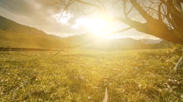 Lapso de tempo da árvore da morte e grama amarela seca na paisagem montanhosa com nuvens e raios de sol. Movimento deslizante horizontal — Vídeo de Stock