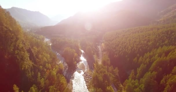 Güneşli yaz sabahında taze dağ nehri ve çayır üzerinde uçuşun ortasında. Aşağıdaki kırsal toprak yol. — Stok video