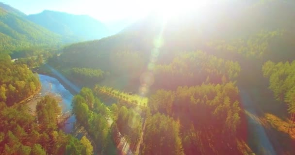 Vôo a meio do ar sobre o rio e o prado frescos da montanha na manhã ensolarada do verão. Estrada de terra rural abaixo. — Vídeo de Stock