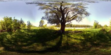 UHD 4K 360 VR Bir nehrin Sanal Gerçekliği güzel dağ ormanlarında kayaların üzerinden akıyor