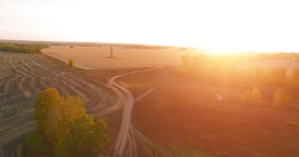 UHD 4K vista aérea. Vôo médio sobre campo rural amarelo e estrada de terra — Vídeo de Stock