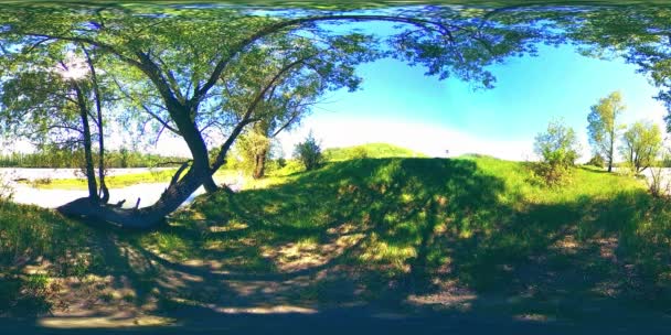 UHD 4K 360 व्हीआर नदीची आभासी वास्तविकता सुंदर पर्वत वन लँडस्केपमध्ये खडक प्रती वाहते — स्टॉक व्हिडिओ