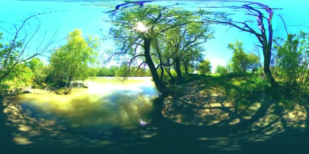 UHD 4K 360 VR美しい山の森の風景の中で岩の上に川の流れの仮想現実 — ストック動画