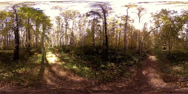 UHD 4K 360 VR Réalité virtuelle d'un parc municipal zone de loisirs. Arbres et herbe verte le jour d'automne ou d'été — Video