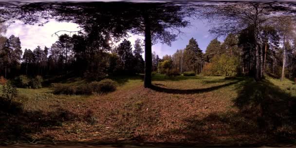 UHD 4K 360 VR A városi park szabadidős területének virtuális valósága. Fák és zöld fű ősszel vagy nyáron — Stock videók