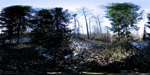 4K 360 VR Réalité virtuelle d'une belle scène de montagne à l'automne. Montagnes russes sauvages . — Video